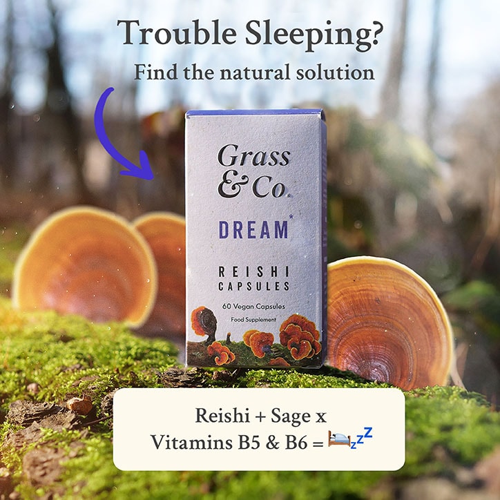 Grass & Co. DREAM Reishi Mushrooms with Magnesium + Sage, 60 Vegan Capsules